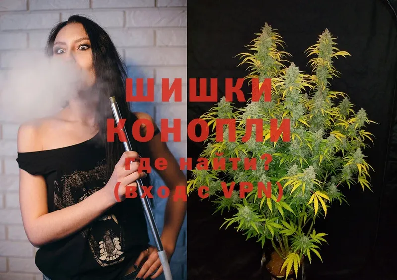 где найти   Кировград  Шишки марихуана SATIVA & INDICA 